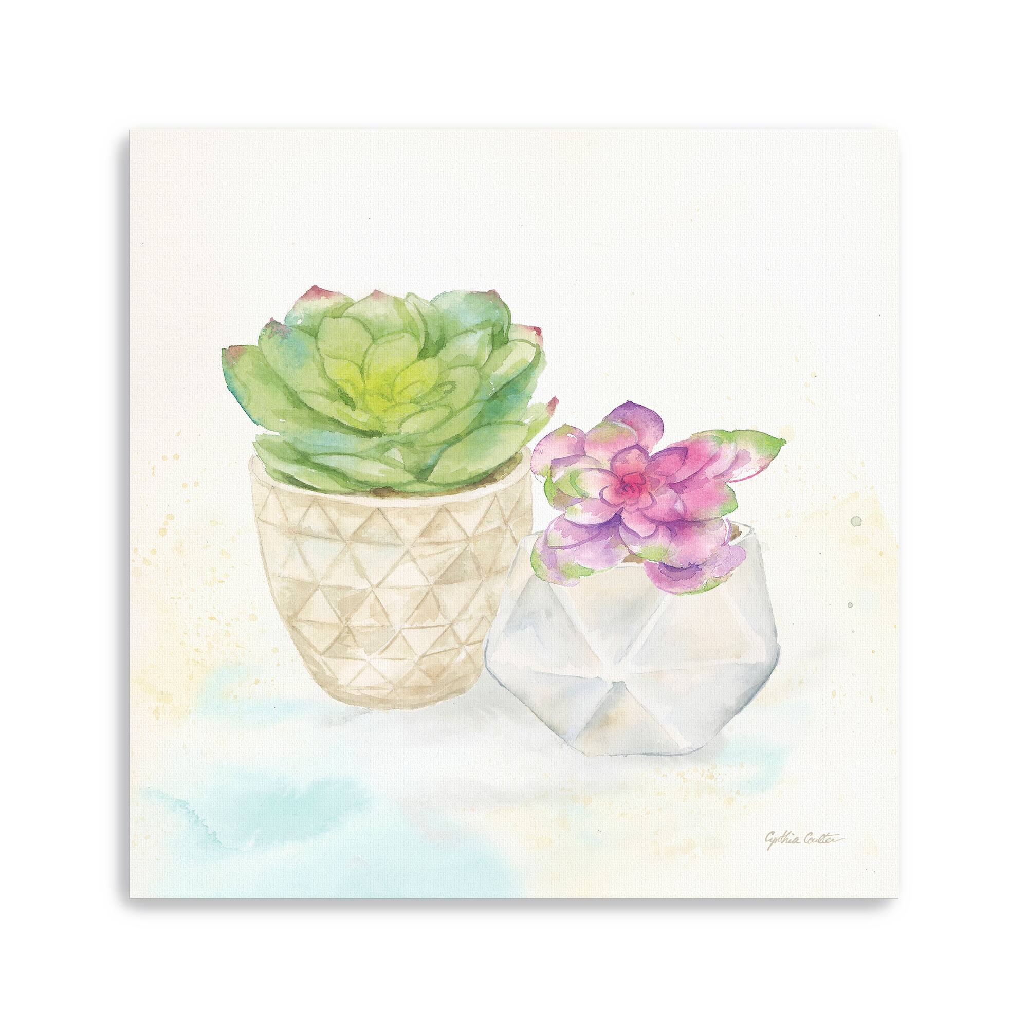 Sweet Succulent Pots III Canvas Giclee